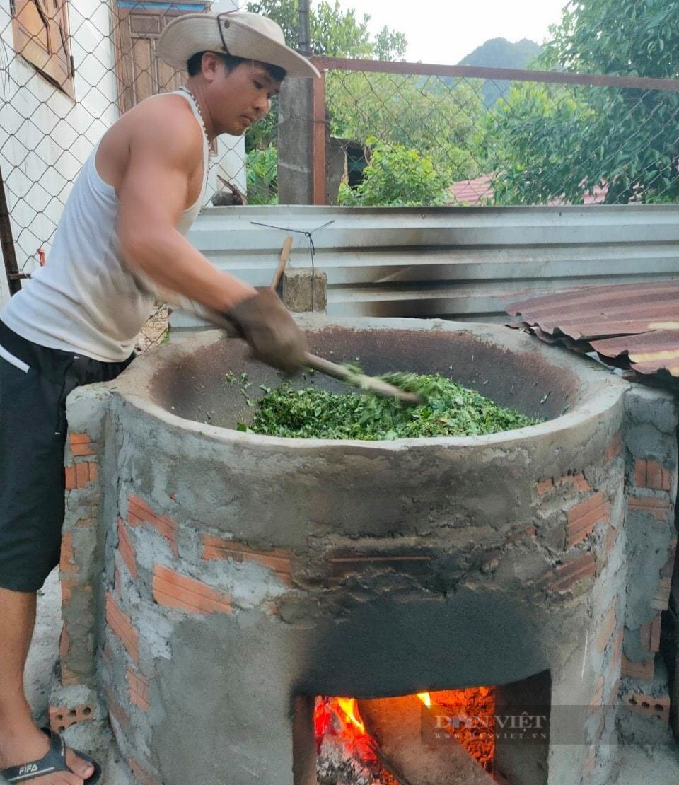 Đà Nẵng: Khởi nghiệp từ dược liệu quý, một thầy giáo thu lãi cao - Ảnh 4.