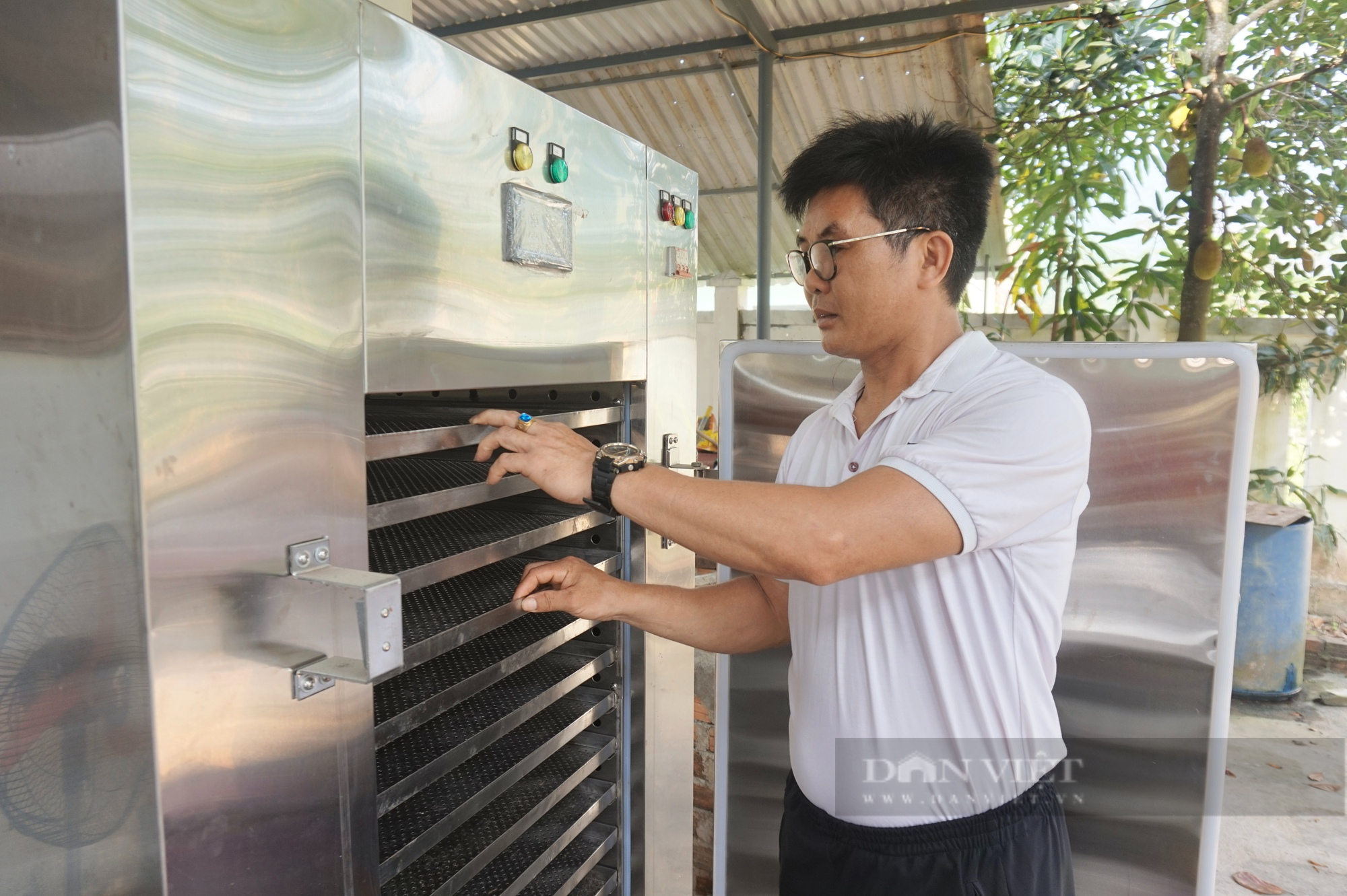 Đà Nẵng: Khởi nghiệp từ dược liệu quý, một thầy giáo thu lãi cao - Ảnh 7.
