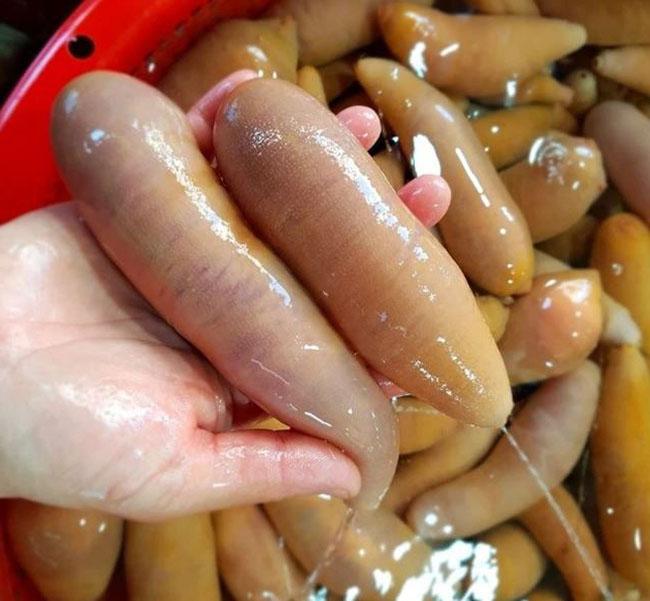 Tên nghe đã đỏ mặt, toàn thân không xương, ăn tuyệt ngon, giá 200.000 đồng/kg - Ảnh 9. Tên nghe đã đỏ mặt, toàn thân không xương, ăn tuyệt ngon, giá 200.000 đồng/kg - Ảnh 9.