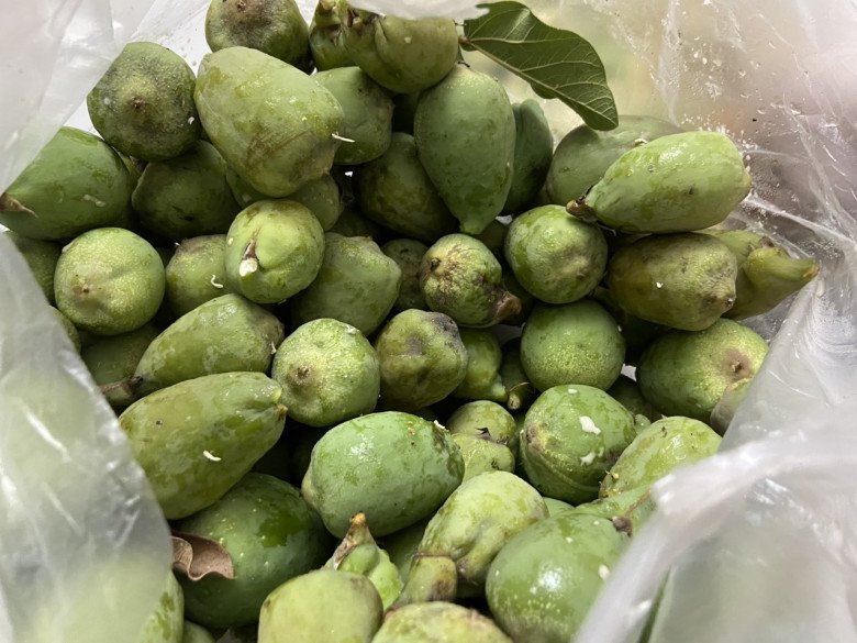 Loại quả xưa từ cây mọc dại nay bán cả trăm nghìn/kg, nhiều người săn lùng làm thuốc quý, cần dùng cẩn thận - Ảnh 2.