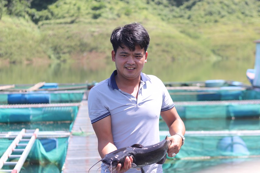 Nuôi cả nghìn con cá lăng, cá diêu hồng, cá tầm trên lòng hồ Cửa Đạt, nông dân thu hàng tỷ đồng - Ảnh 3.