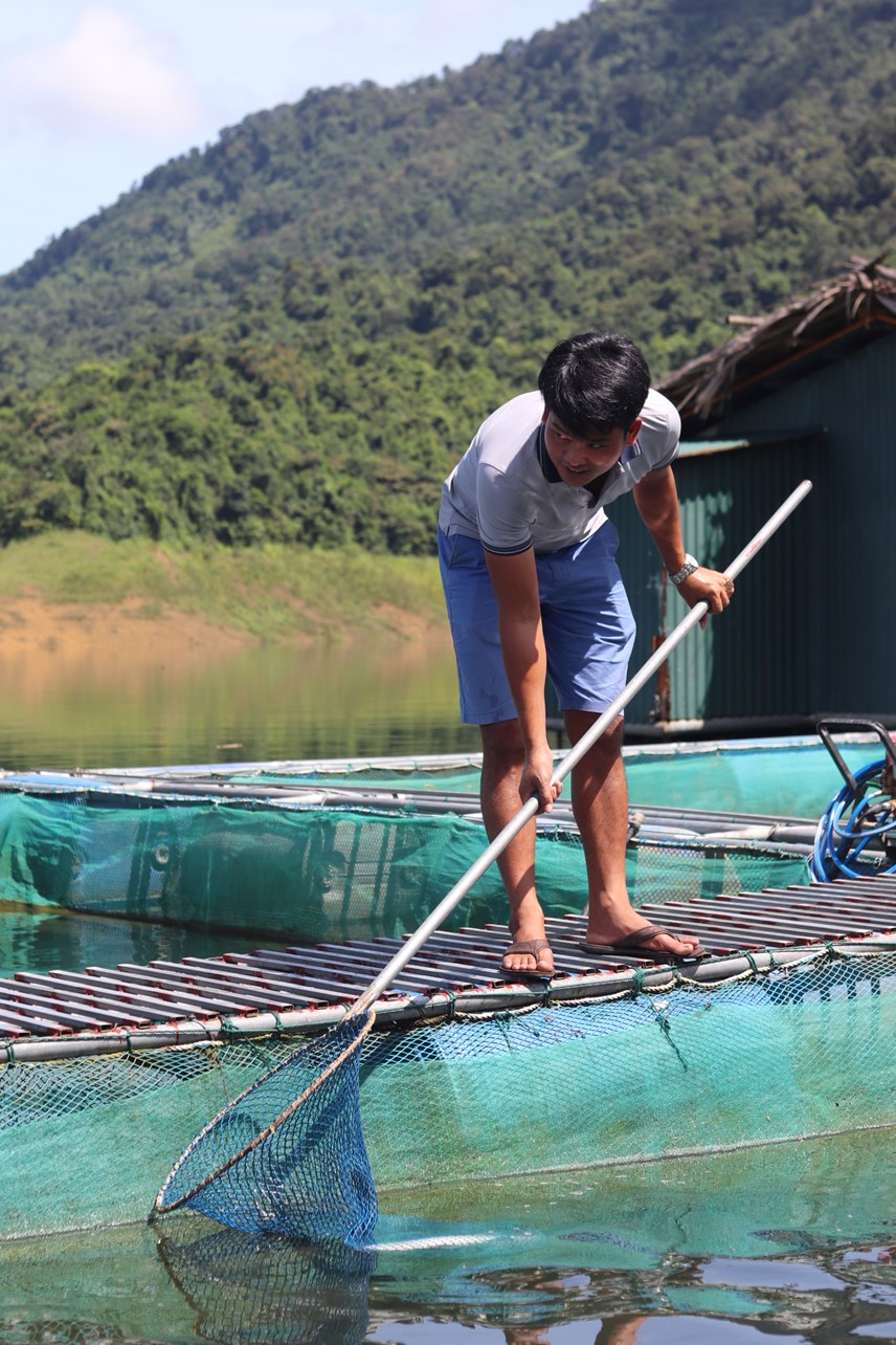 Nuôi cả nghìn con cá lăng, cá diêu hồng, cá tầm trên lòng hồ Cửa Đạt, nông dân thu hàng tỷ đồng - Ảnh 8.