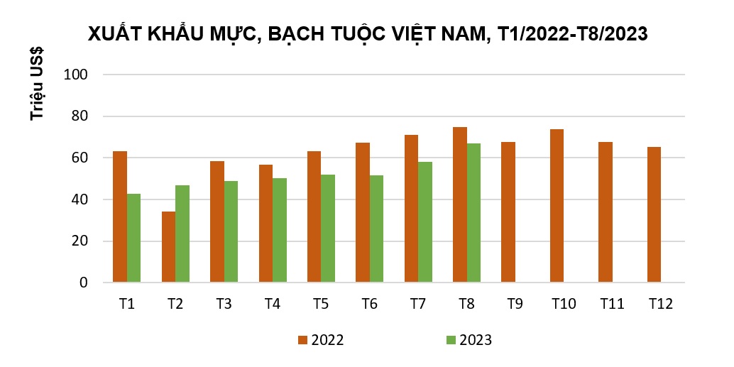 Xuất khẩu mực, bạch tuộc sang Hàn Quốc có dấu hiệu tích cực - Ảnh 1.