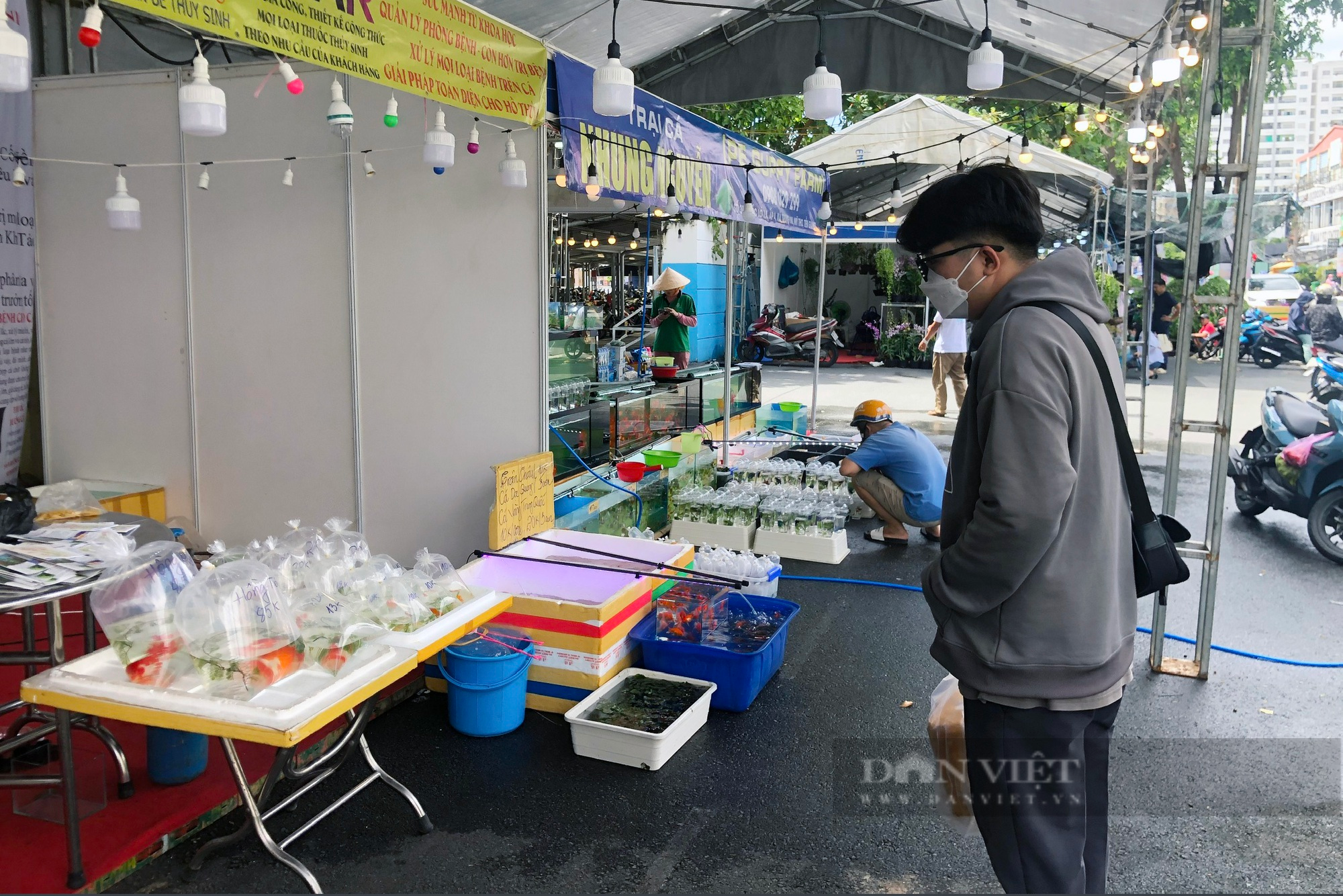 Người dân thích thú khi thấy diều harris, đại bàng núi trong... được trưng bày tại TP.HCM - Ảnh 7.
