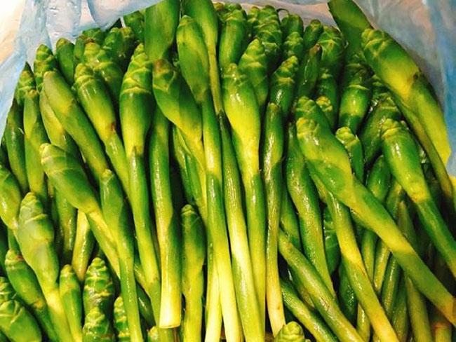 Thứ nụ hoa mỗi năm xuất hiện một lần, trước chả ai ăn giờ lùng mua, giá 70.000 đồng/kg - Ảnh 5. Thứ nụ hoa mỗi năm xuất hiện một lần, trước chả ai ăn giờ lùng mua, giá 70.000 đồng/kg - Ảnh 5.