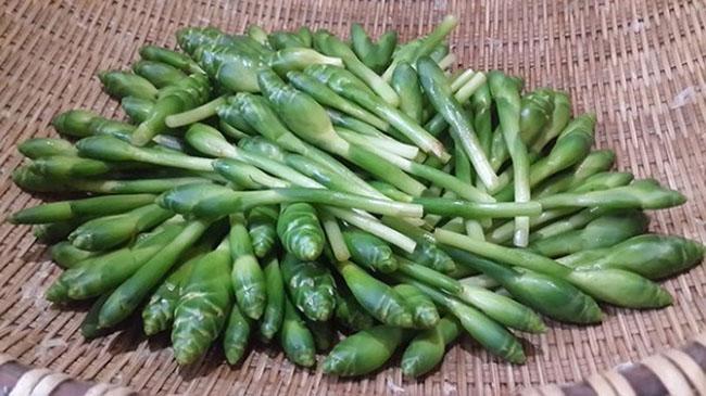Thứ nụ hoa mỗi năm xuất hiện một lần, trước chả ai ăn giờ lùng mua, giá 70.000 đồng/kg - Ảnh 3. Thứ nụ hoa mỗi năm xuất hiện một lần, trước chả ai ăn giờ lùng mua, giá 70.000 đồng/kg - Ảnh 3.