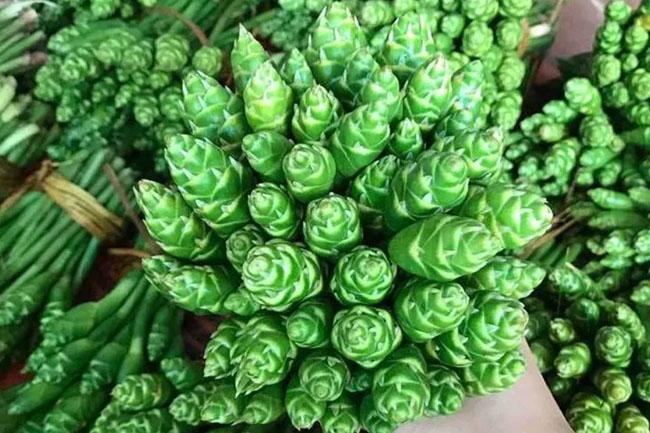 Thứ nụ hoa mỗi năm xuất hiện một lần, trước chả ai ăn giờ lùng mua, giá 70.000 đồng/kg - Ảnh 7. Thứ nụ hoa mỗi năm xuất hiện một lần, trước chả ai ăn giờ lùng mua, giá 70.000 đồng/kg - Ảnh 7.