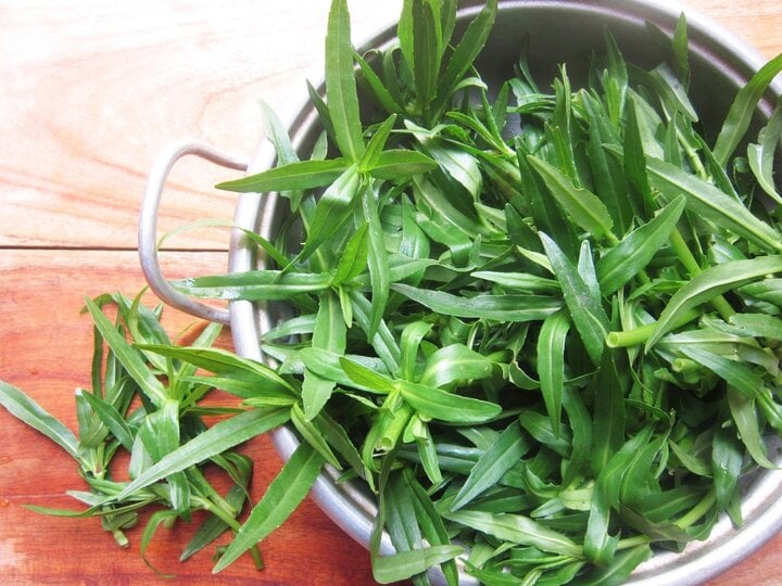 Loại rau gia vị được nhiều người biết đến, nhưng không phải ai cũng biết hết tác dụng - Ảnh 1. Loại rau gia vị được nhiều người biết đến, nhưng không phải ai cũng biết hết tác dụng - Ảnh 1.