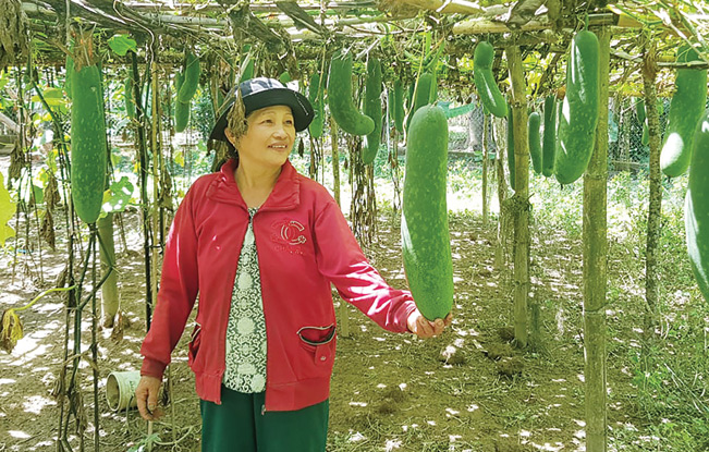 Quảng Nam: Ngân hàng lưu động - chắp cánh ước mơ đổi đời cho người dân vùng núi cao - Ảnh 3. Quảng Nam: Ngân hàng lưu động - chắp cánh ước mơ đổi đời cho người dân vùng núi cao - Ảnh 3.
