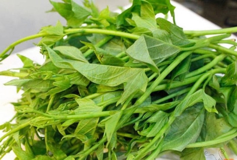 Loại rau rẻ tiền dưỡng da, bổ huyết, phụ nữ sau 30 tuổi ăn nhiều da mặt hồng hào, rạng rỡ - Ảnh 6.