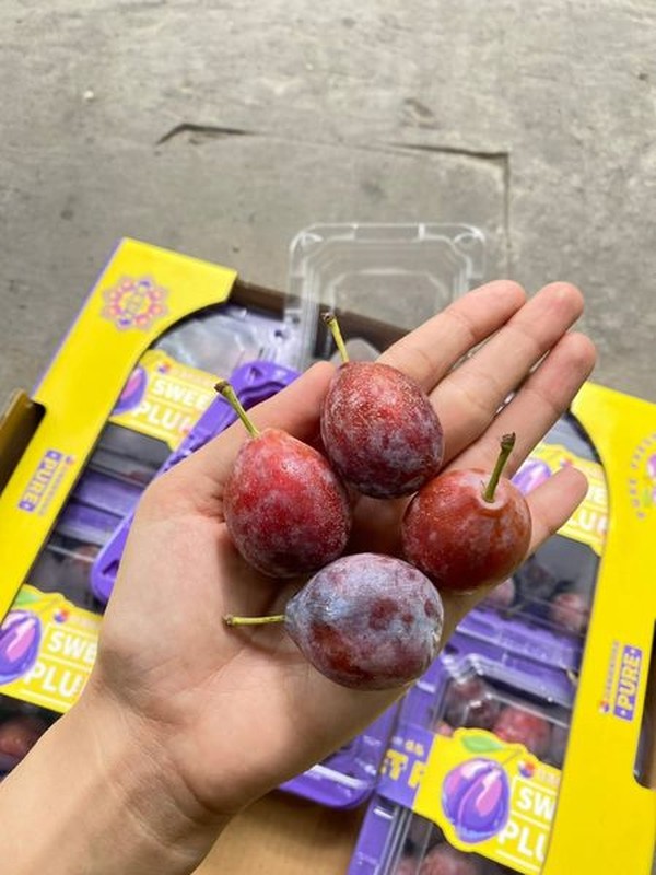 Mận đường giá rẻ đang gây sốt chợ mạng - Ảnh 5.