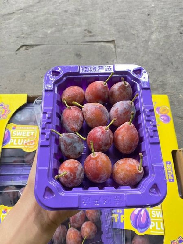Mận đường giá rẻ đang gây sốt chợ mạng - Ảnh 7.