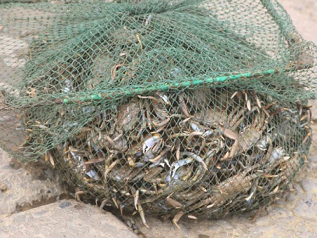 Ở Thanh Hóa có đặc sản “tên lạ”, nhiều người tò mò đặt mua về ăn thử, giá không hề rẻ - Ảnh 8.