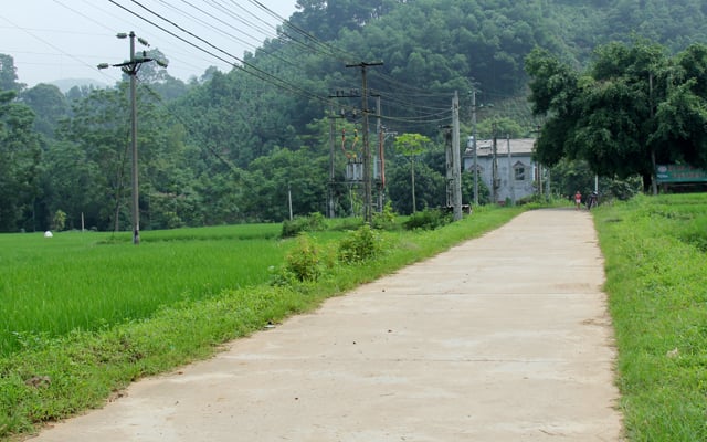 Ghen tuông, nam nghi phạm sát hại bạn trai của vợ cũ - Ảnh 1.