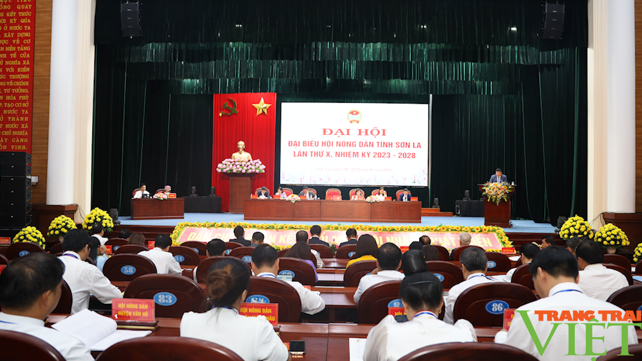 Sơn La: Xây dựng tổ chức hội nông dân vững mạnh trong tình hình mới - Ảnh 2. Sơn La: Xây dựng tổ chức hội nông dân vững mạnh trong tình hình mới - Ảnh 2.
