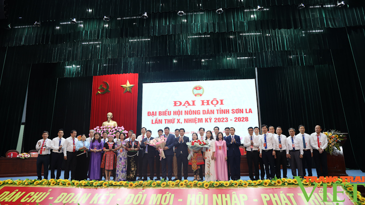 Sơn La: Xây dựng tổ chức hội nông dân vững mạnh trong tình hình mới - Ảnh 6. Sơn La: Xây dựng tổ chức hội nông dân vững mạnh trong tình hình mới - Ảnh 6.