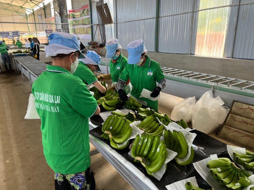 Hoàng Anh Gia Lai gia hạn thanh toán trái phiếu 300 tỷ thêm 2 năm - Ảnh 2.