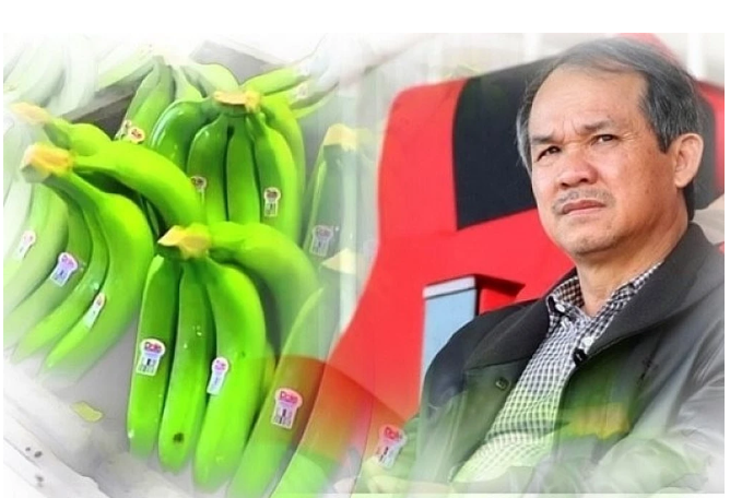 Hoàng Anh Gia Lai (HAG) lùi hạn thanh toán lô trái phiếu 300 tỷ thêm 2 năm - Ảnh 1. Hoàng Anh Gia Lai (HAG) lùi hạn thanh toán lô trái phiếu 300 tỷ thêm 2 năm - Ảnh 1.