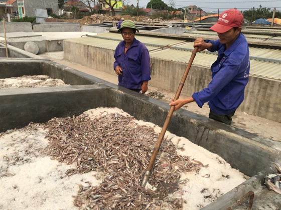 Đề nghị công nhận nước mắm là di sản văn hóa Việt Nam - Ảnh 3.