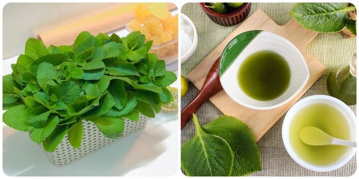 Vừa là rau gia vị, vừa là thuốc, quen thuộc trong mỗi bữa cơm nhưng tác dụng không phải ai cũng biết - Ảnh 1. Vừa là rau gia vị, vừa là thuốc, quen thuộc trong mỗi bữa cơm nhưng tác dụng không phải ai cũng biết - Ảnh 1.