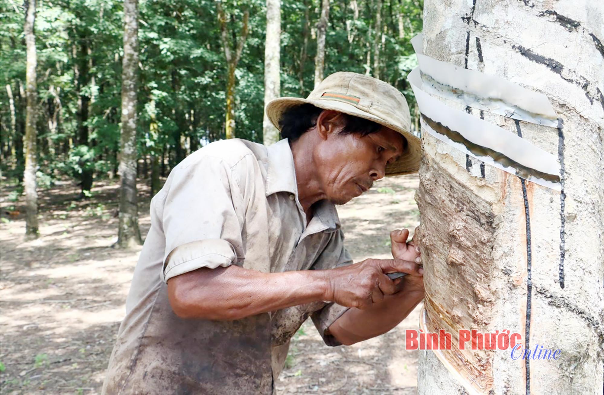 Một xóm người Chăm ở Bình Phước, không có tệ nạn xã hội, ai vi phạm bị phạt nặng - Ảnh 2.