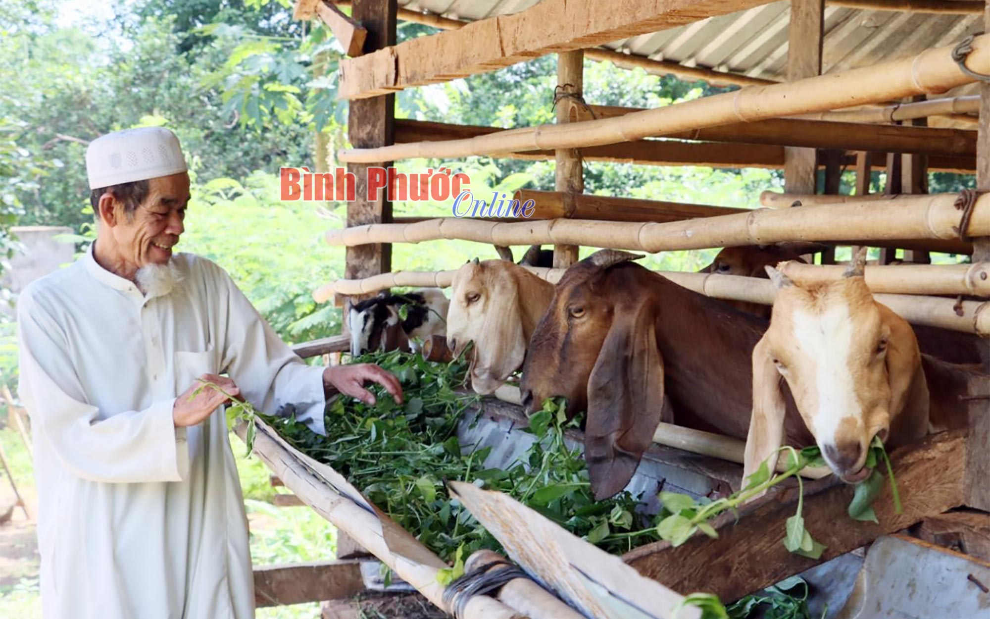 Một xóm người Chăm ở Bình Phước, không có tệ nạn xã hội, ai vi phạm bị phạt nặng - Ảnh 1.