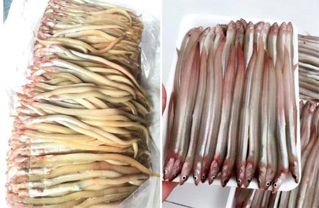 Cá gì như “cọng tre”, khắp cơ thể toàn là sụn, thưởng thức một lần là nhớ mãi - Ảnh 4. Cá gì như “cọng tre”, khắp cơ thể toàn là sụn, thưởng thức một lần là nhớ mãi - Ảnh 4.