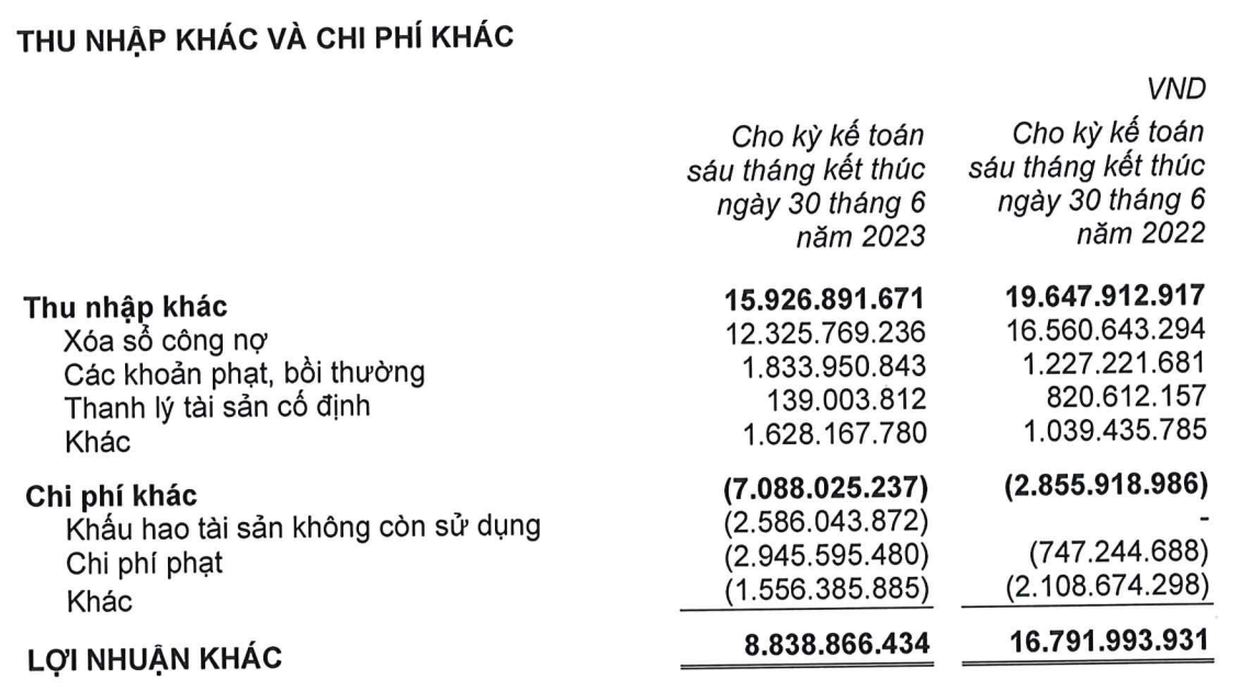 Gỗ Trường Thành tăng lỗ thêm 11,34 tỷ đồng sau kiểm toán bán niên năm 2023 - Ảnh 2.