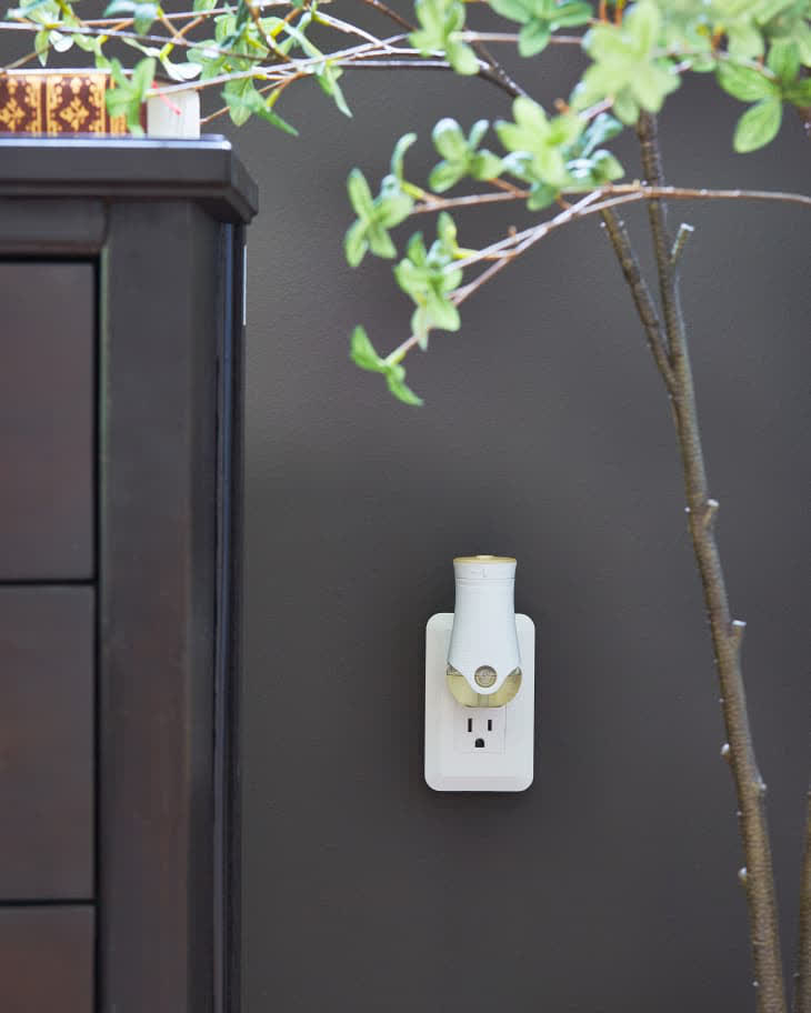 Chuyên gia chia sẻ cách để phòng ngủ luôn mang cảm giác ấm cúng - Ảnh 3.