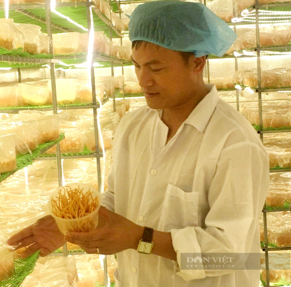 Chàng trai 38 tuổi “ông vua” của 6 sản phẩm Ocop ở Thanh Hóa - Ảnh 7.