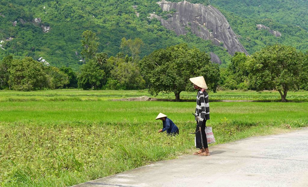 Cung đường nông thôn đẹp như phim, ai đi Bảy Núi ráng ghé  - Ảnh 9.