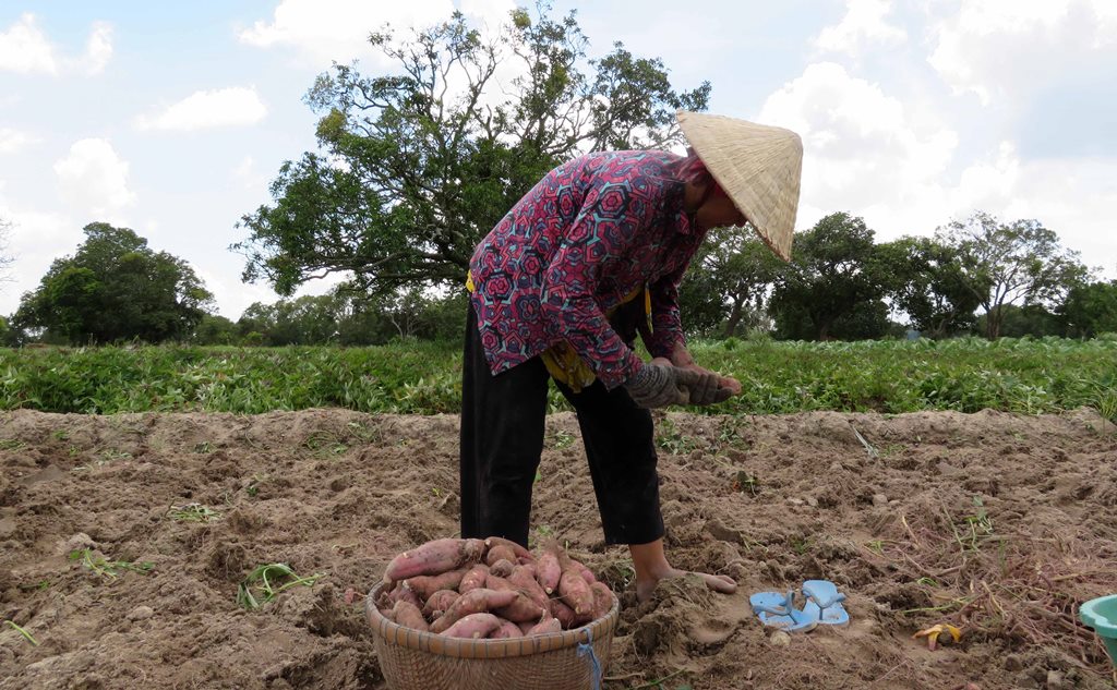 Cung đường nông thôn đẹp như phim, ai đi Bảy Núi ráng ghé  - Ảnh 12.