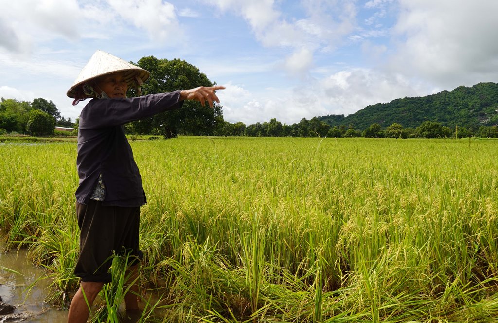 Cung đường nông thôn đẹp như phim, ai đi Bảy Núi ráng ghé  - Ảnh 13.