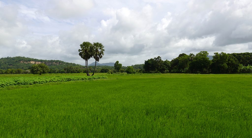 Cung đường nông thôn đẹp như phim, ai đi Bảy Núi ráng ghé  - Ảnh 2.