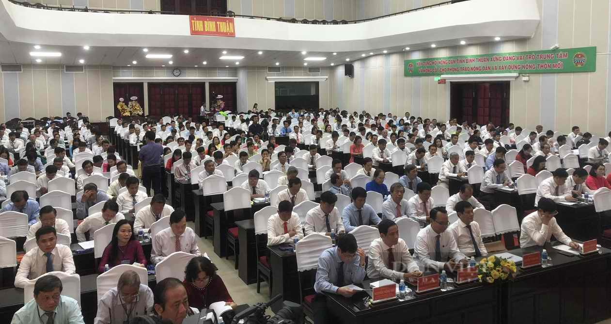 Ra mắt Ban chấp hành Hội Nông dân tỉnh Bình Thuận nhiệm kỳ 2023- 2028 - Ảnh 2.