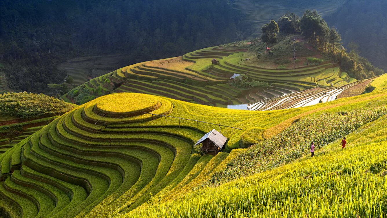 Tour ngắm đồng lúa chín, mùa thu Hà Nội giá siêu ưu đãi đang chờ người dân TP.HCM - Ảnh 2. Tour ngắm đồng lúa chín, mùa thu Hà Nội giá siêu ưu đãi đang chờ người dân TP.HCM - Ảnh 2.
