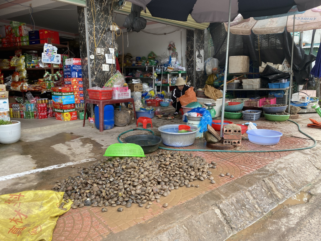 Khu rừng ngập mặn đẹp như phim gần 3.000ha ở Quảng Ninh, dân bắt con cua to như bàn tay chắc thịt - Ảnh 2.