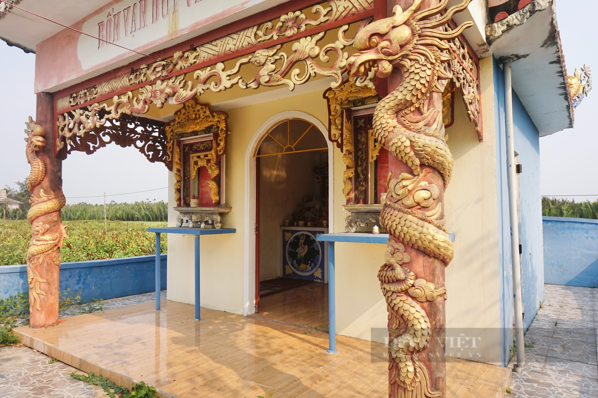 Quảng Nam: Độc đáo Lăng thờ có hình dáng lạ, bên trong thờ ngọc cốt của linh vật biển cả  - Ảnh 5.