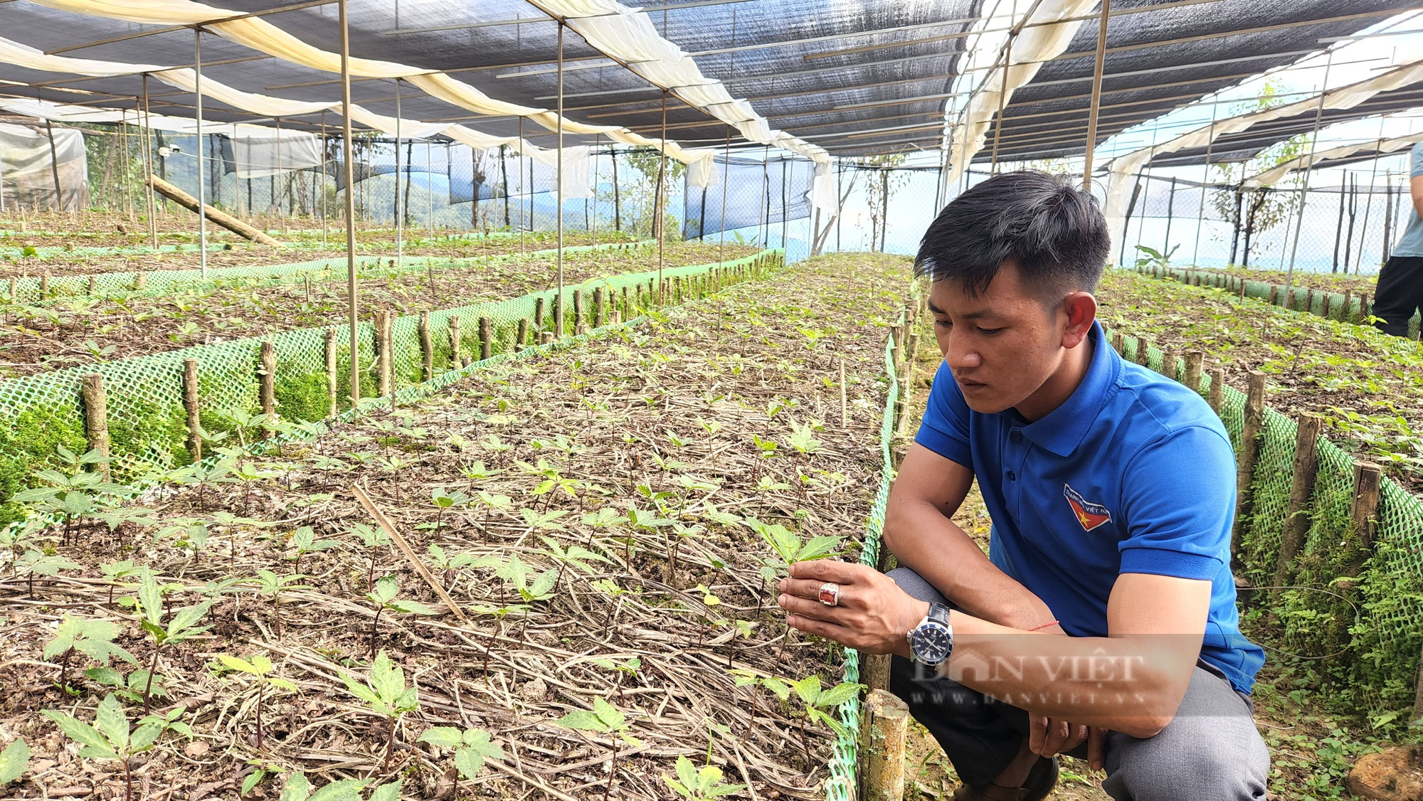 Lên đỉnh Pu Si Lung xem người La Hủ trồng thứ cây được coi là quốc bảo - Ảnh 4.