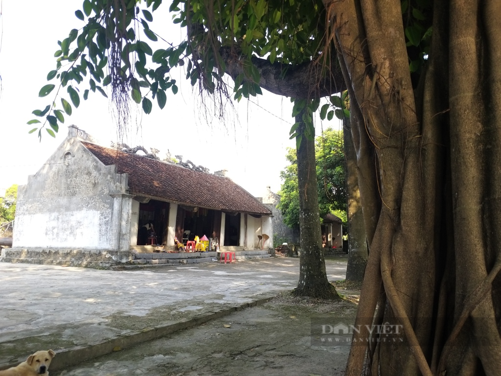 Đình cổ ở Tam Điệp thờ hai vị thần thời Hùng Vương thứ nhất phải &quot;chống gậy&quot; kêu cứu - Ảnh 2.