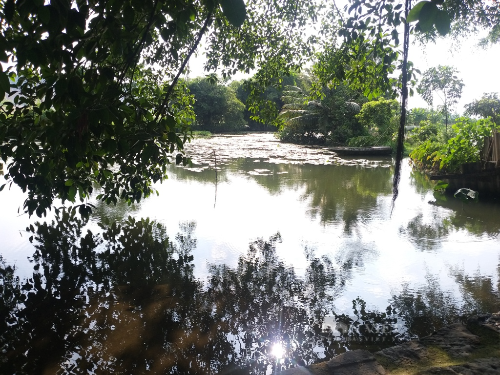 Đình cổ ở Tam Điệp thờ hai vị thần thời Hùng Vương thứ nhất phải &quot;chống gậy&quot; kêu cứu - Ảnh 8.