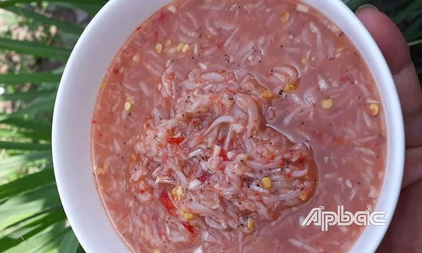 Vùng biển này ở Tiền Giang, đến nơi thấy gánh tấp nập một con vật như que tăm, làm ra vô số món đặc sản - Ảnh 3.