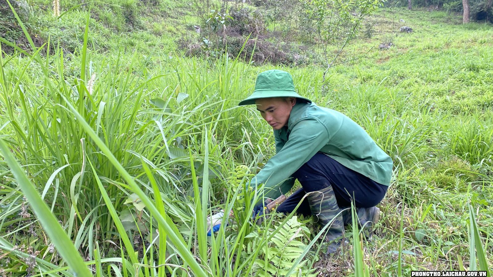Con vật xưa là động vật hoang dã, nay dân một nơi ở Lai Châu nuôi thành bầy, cắt thứ đại bổ bán đắt tiền- Ảnh 3.