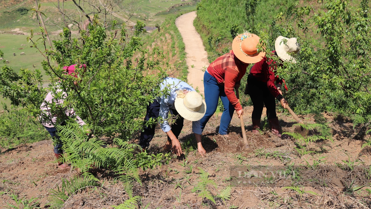 Ngọc Chiến xây dựng miền quê đáng sống - Ảnh 5.