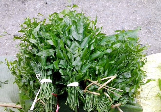 Thứ rau rừng đang mệt ăn một tí tỉnh hẳn người, xưa dân nghèo dùng, nay nhà giàu đang săn lùng- Ảnh 4.