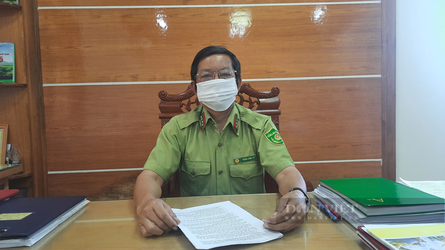 Lý do cựu Chi cục trưởng Kiểm lâm Quảng Trị bị khởi tố - Ảnh 1.