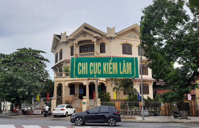 Lý do cựu Chi cục trưởng Kiểm lâm Quảng Trị bị khởi tố - Ảnh 2.