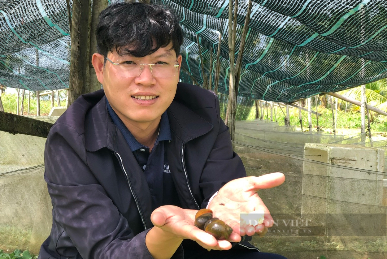 Cử nhân luật bỏ phố về quê nuôi ốc bươu đen, chế biến món ăn từ ốc khiến nhiều người mê- Ảnh 4.