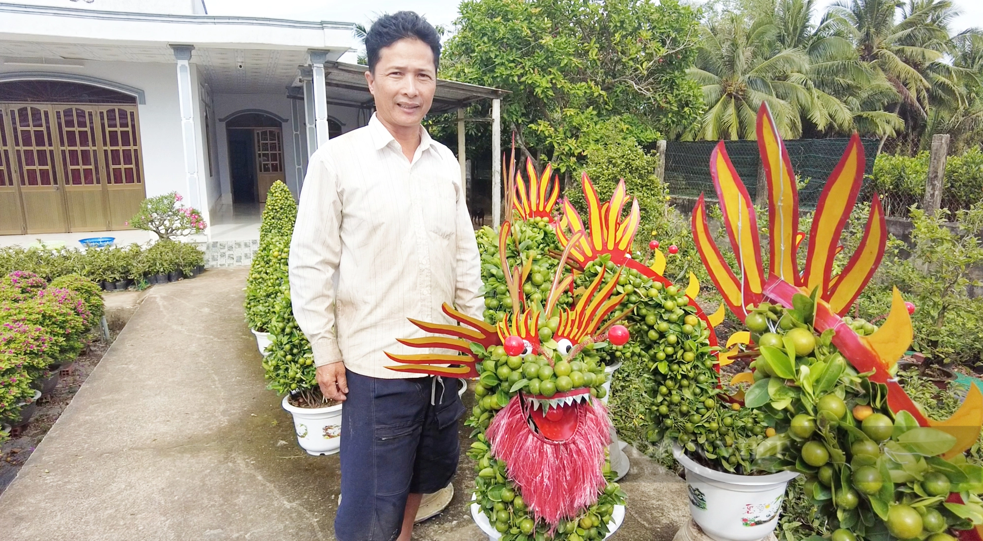 La liệt chậu tắc kiểng hình rồng đón Tết Giáp Thìn, bán 5 triệu đồng/cặp ở Bến Tre- Ảnh 2.