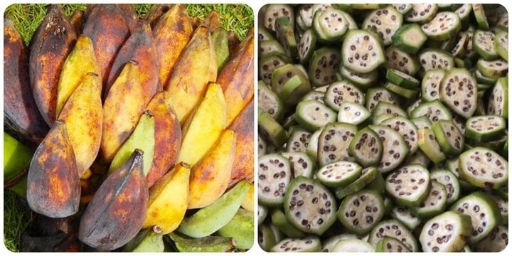 Chuối hột có tác dụng gì mà lại được dùng làm thuốc phổ biến trong y học cổ truyền?- Ảnh 1. Chuối hột có tác dụng gì mà lại được dùng làm thuốc phổ biến trong y học cổ truyền?- Ảnh 1.